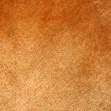 Tapis Vintage Khaden Tibétain en Laine, Années 1970, Élégance Traditionnell