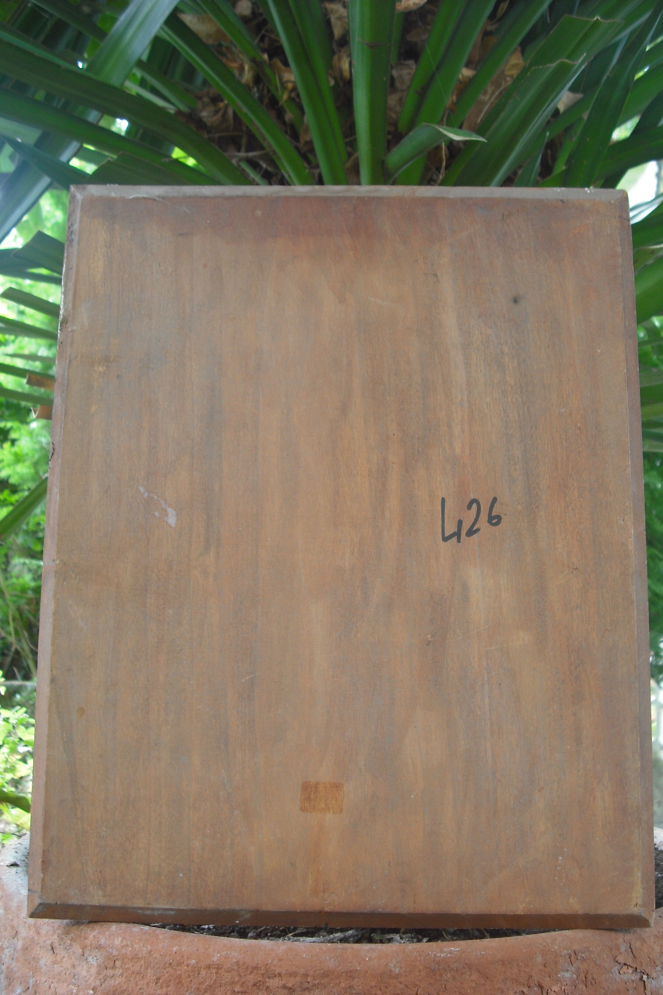 Signed portrait - Horned nun 42.5 / 32.5 on panel