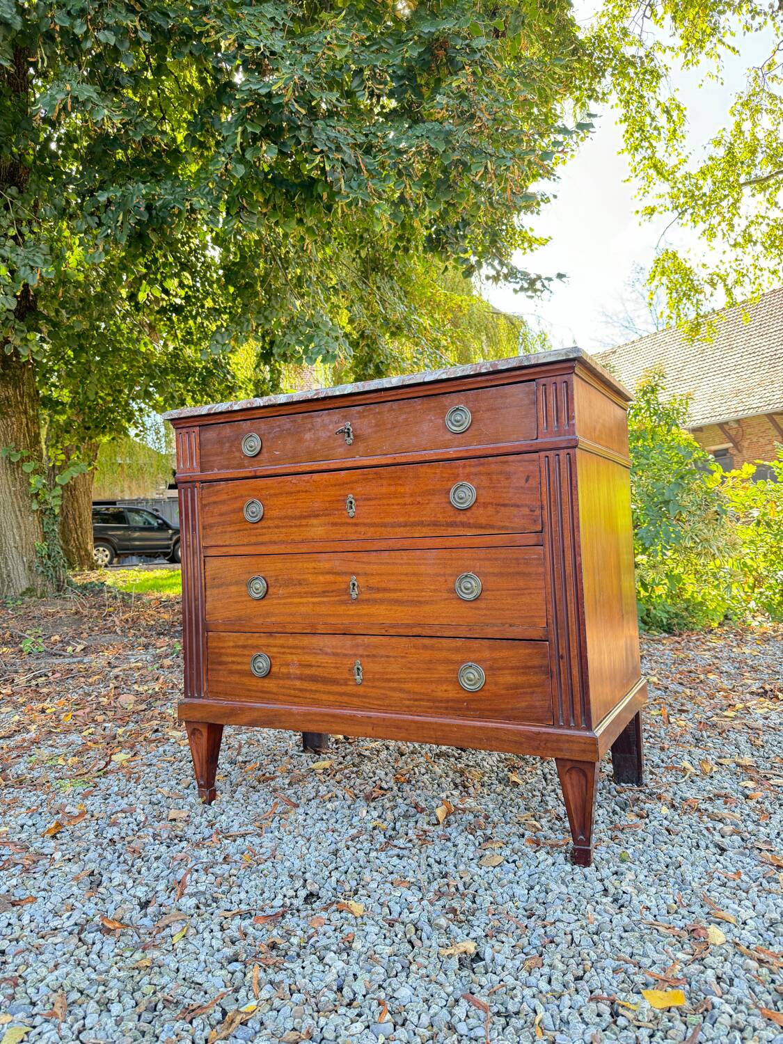 Louis XVI Style Mahogany Chest of Drawers, 19th Century
