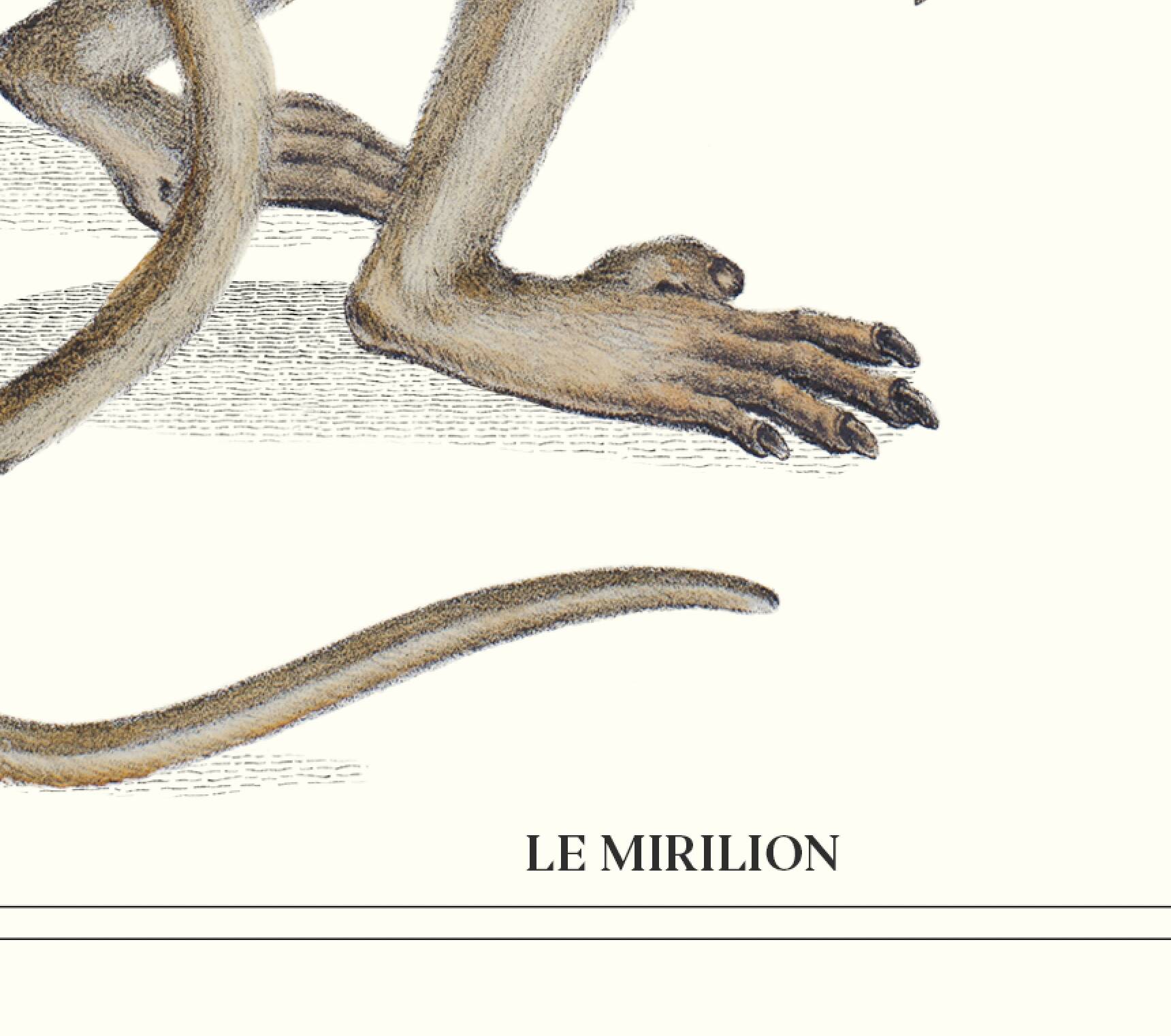 Lithograph engraving chimera animal - the mirilion