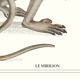 Lithographie gravure chimère animal - le mirilion
