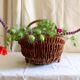 Large old basket in real chestnut