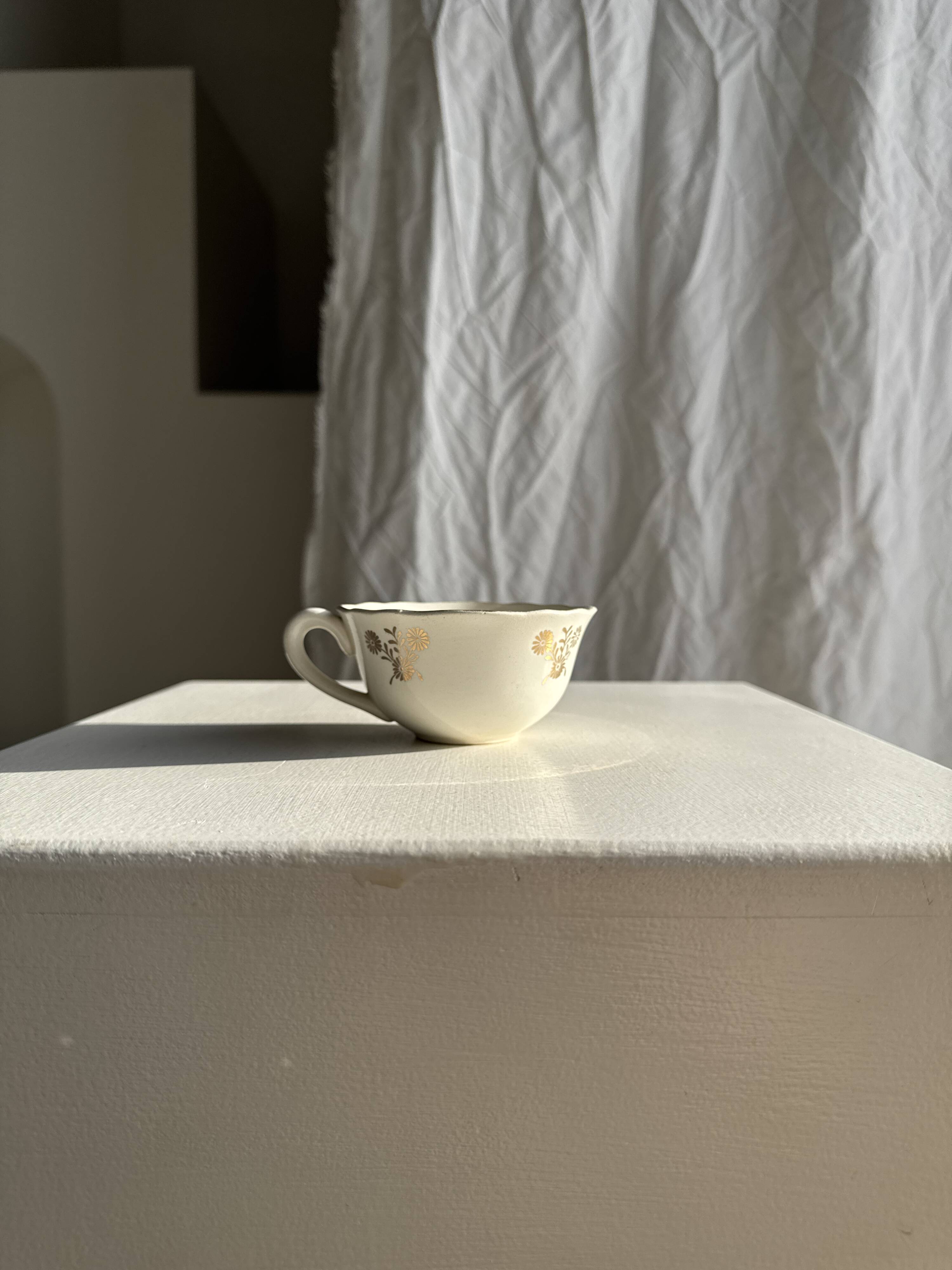 Lot de 6 tasses à café à motifs d'oiseaux anciennes