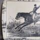 Vintage fiberglass horse tray