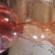 Mouth-blown glass soliflore vase