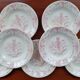 Service of 7 plates in iron earth
