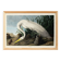Poster about the Great Egret, based on an old engraving from 1827.