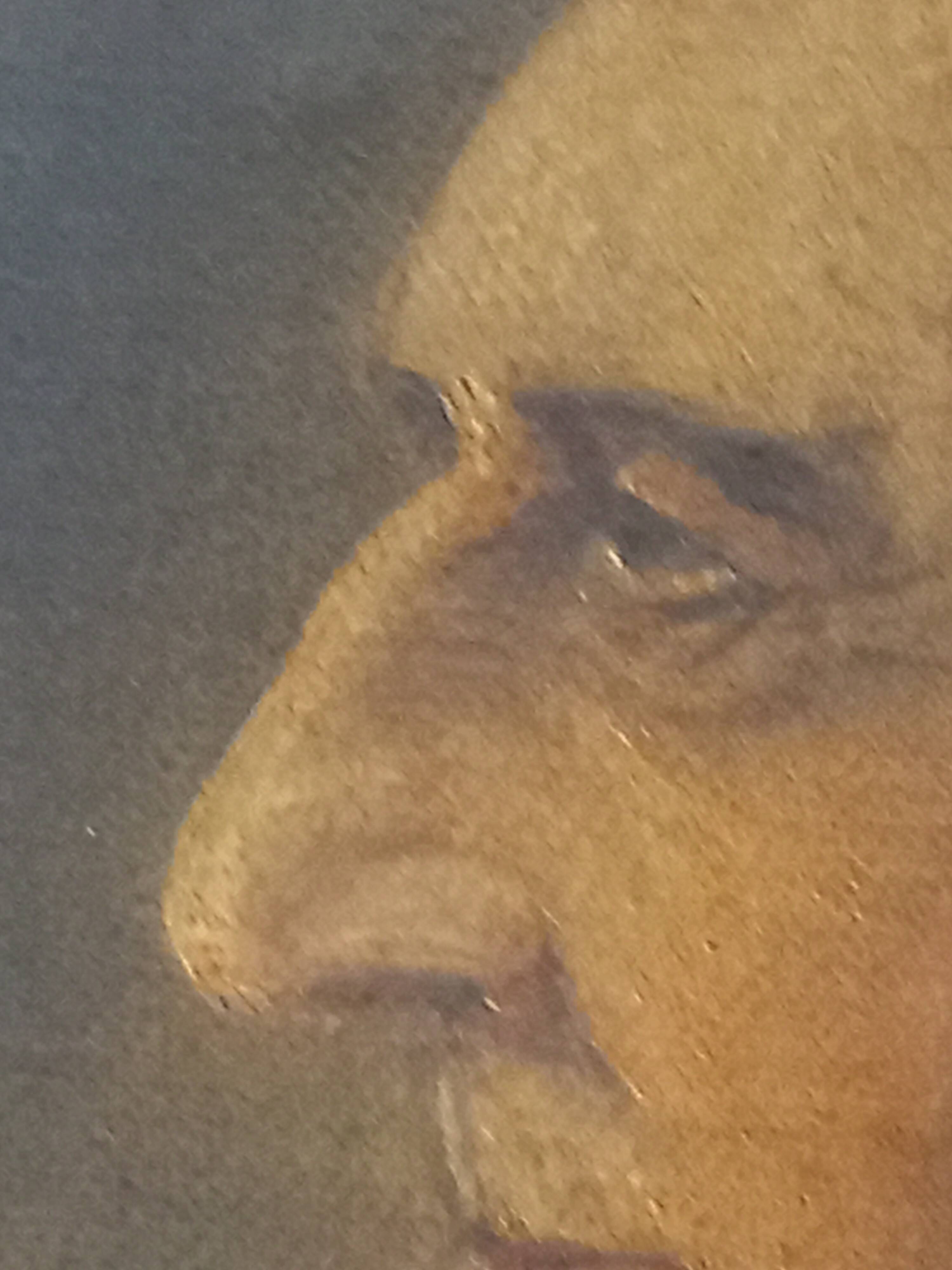 Charismatic Portrait of the Composer Franz Liszt – Oil On Canvas