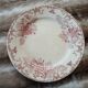 12 antique flat plates in ironstone