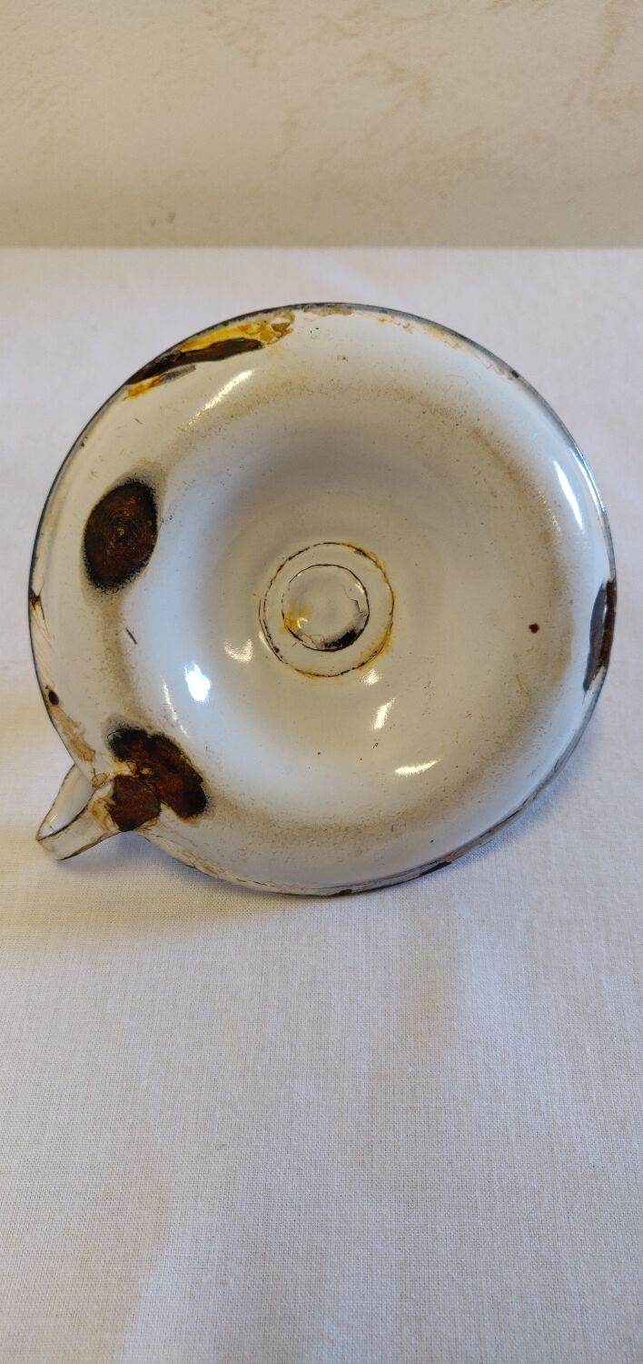 Cellar rat in old enamelled sheet metal