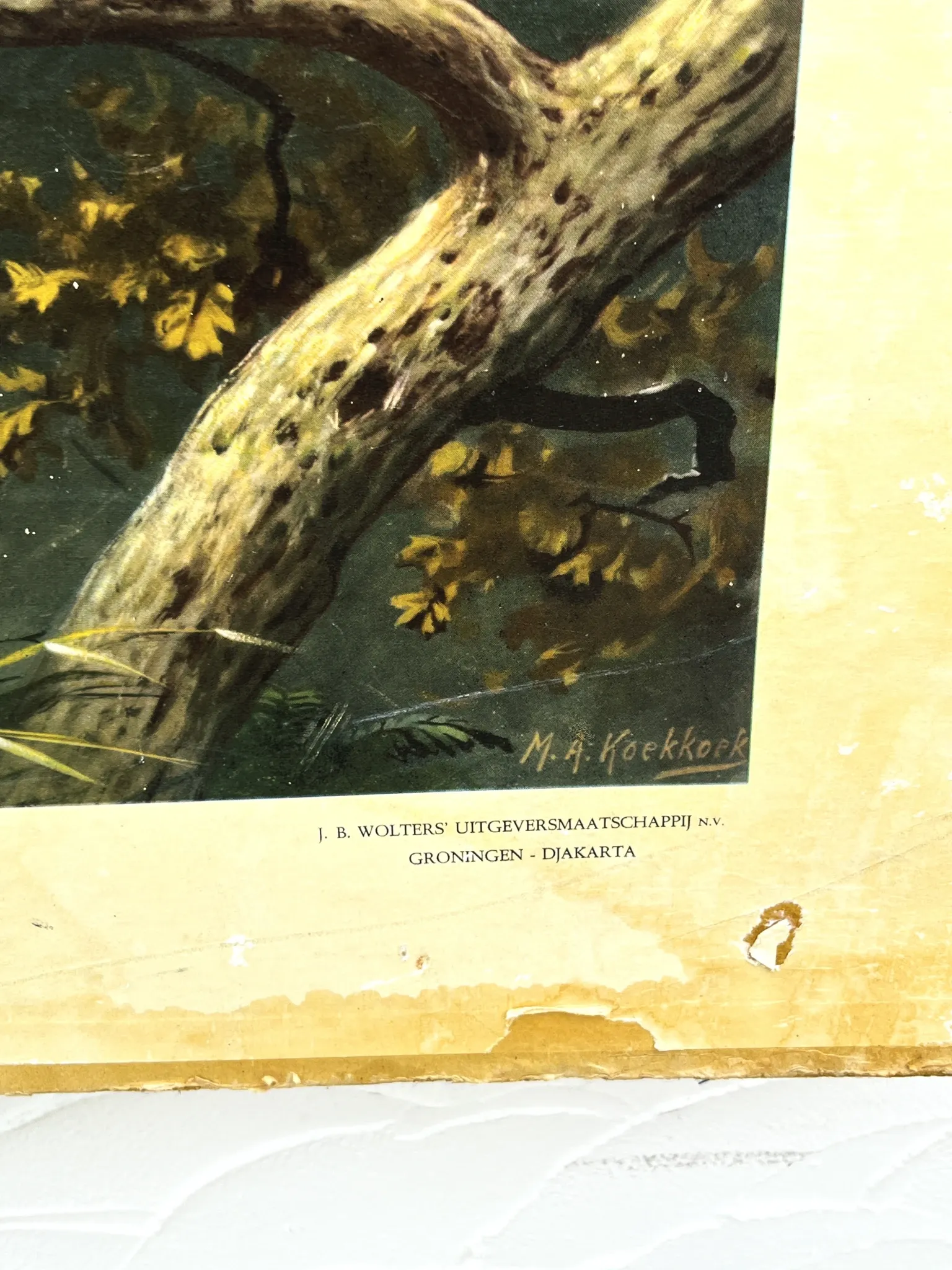 School poster J.B. Wolters