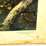 School poster J.B. Wolters