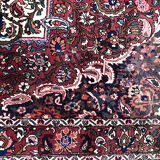 Tapis Bakhtiar en laine, noué main, à décor floral, 315 x 202 cm