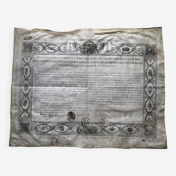large PARCHMENT pre-printed in Latin DIPLOMA DOCTOR SURGEON 1835 university of Naples Italy