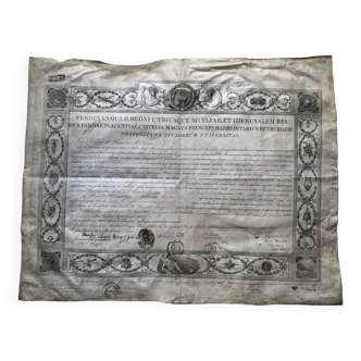 large PARCHMENT pre-printed in Latin DIPLOMA DOCTOR SURGEON 1835 university of Naples Italy