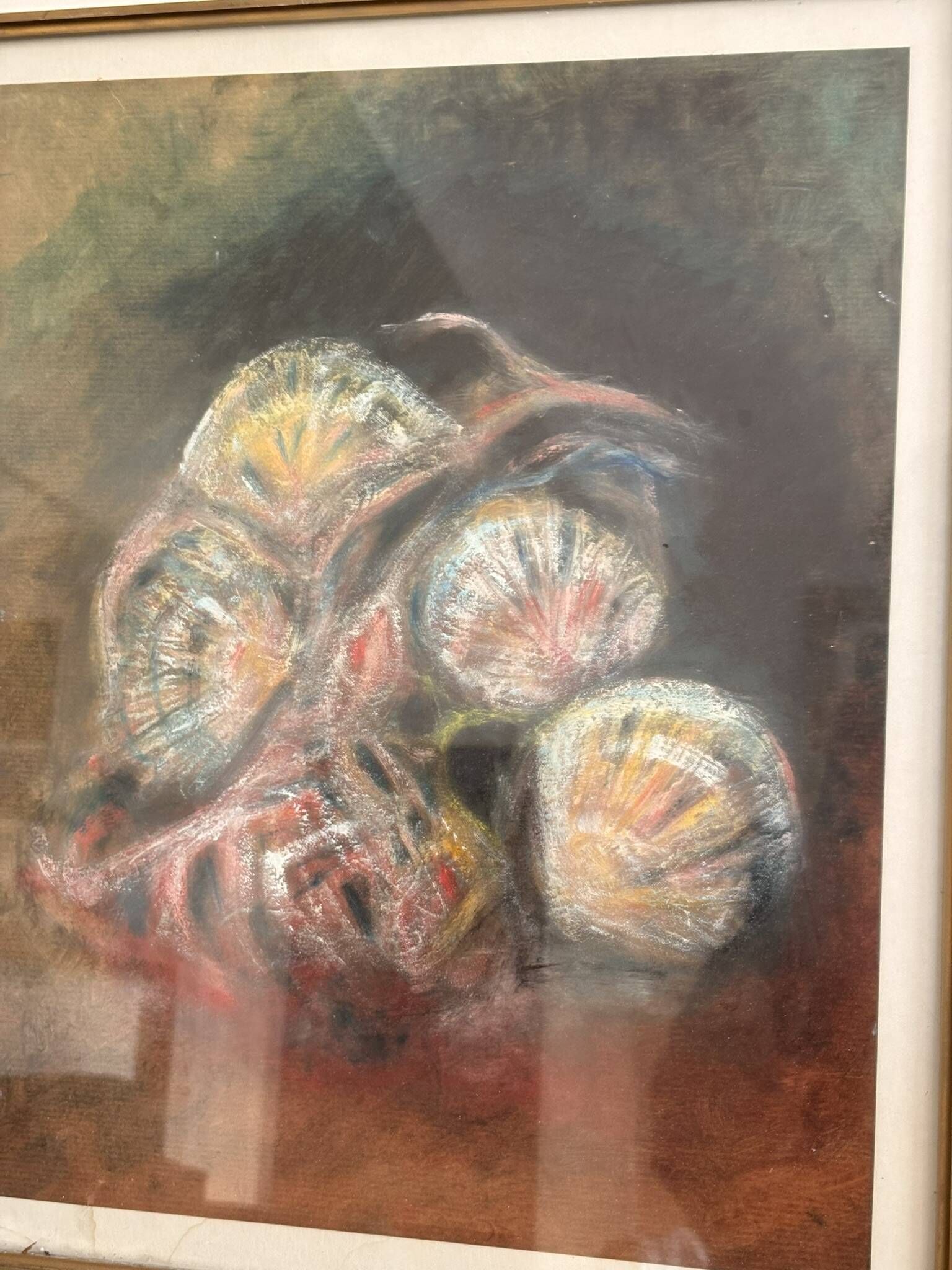 Pastel Drawing Shell Still Life Saint Jacques Fossil Pencil