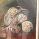 Pastel Drawing Shell Still Life Saint Jacques Fossil Pencil