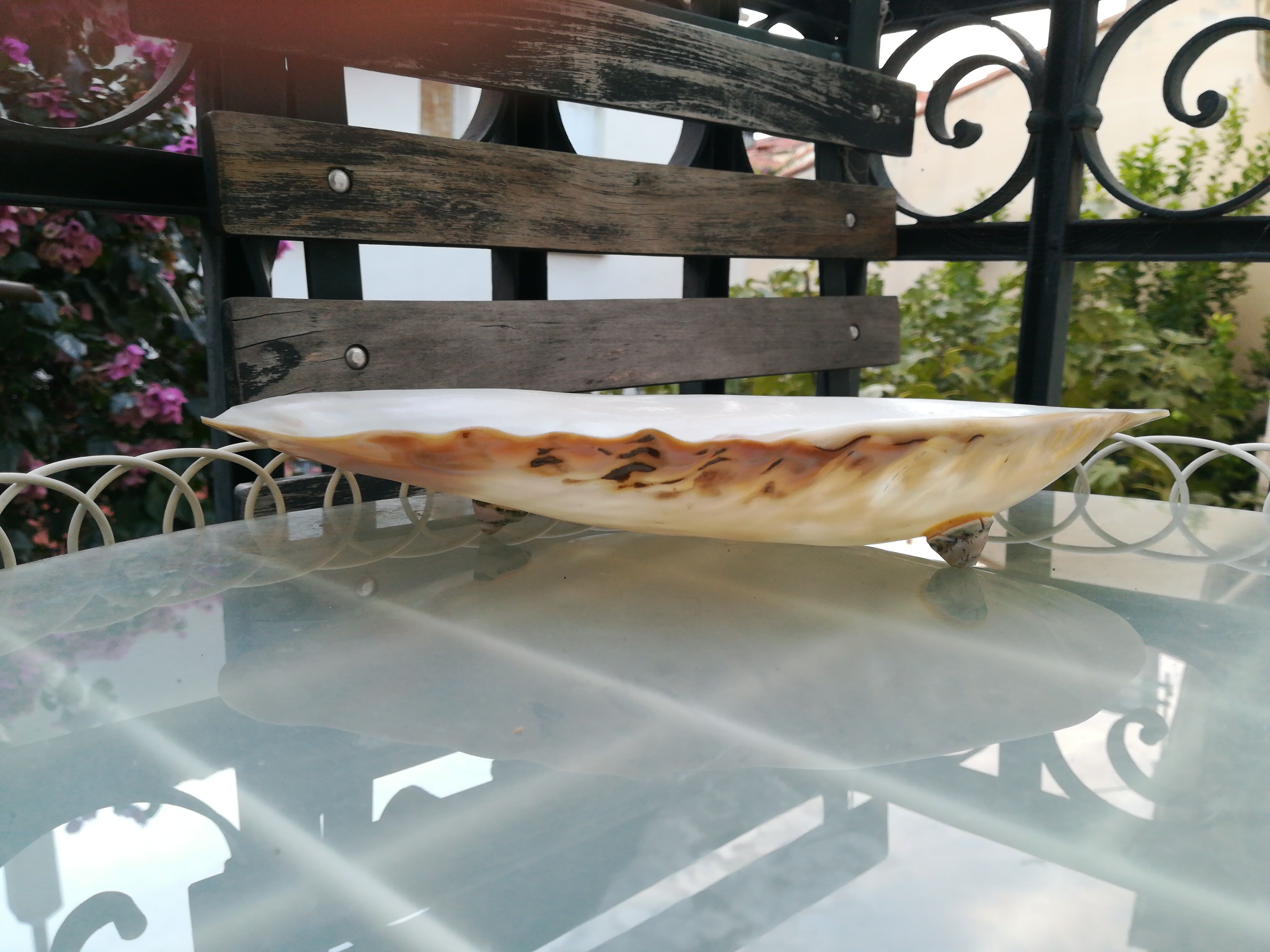 Cupelle mother-of-pearl