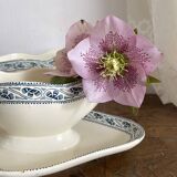 Choisy le roi "Champigny" iron clay sauceboats