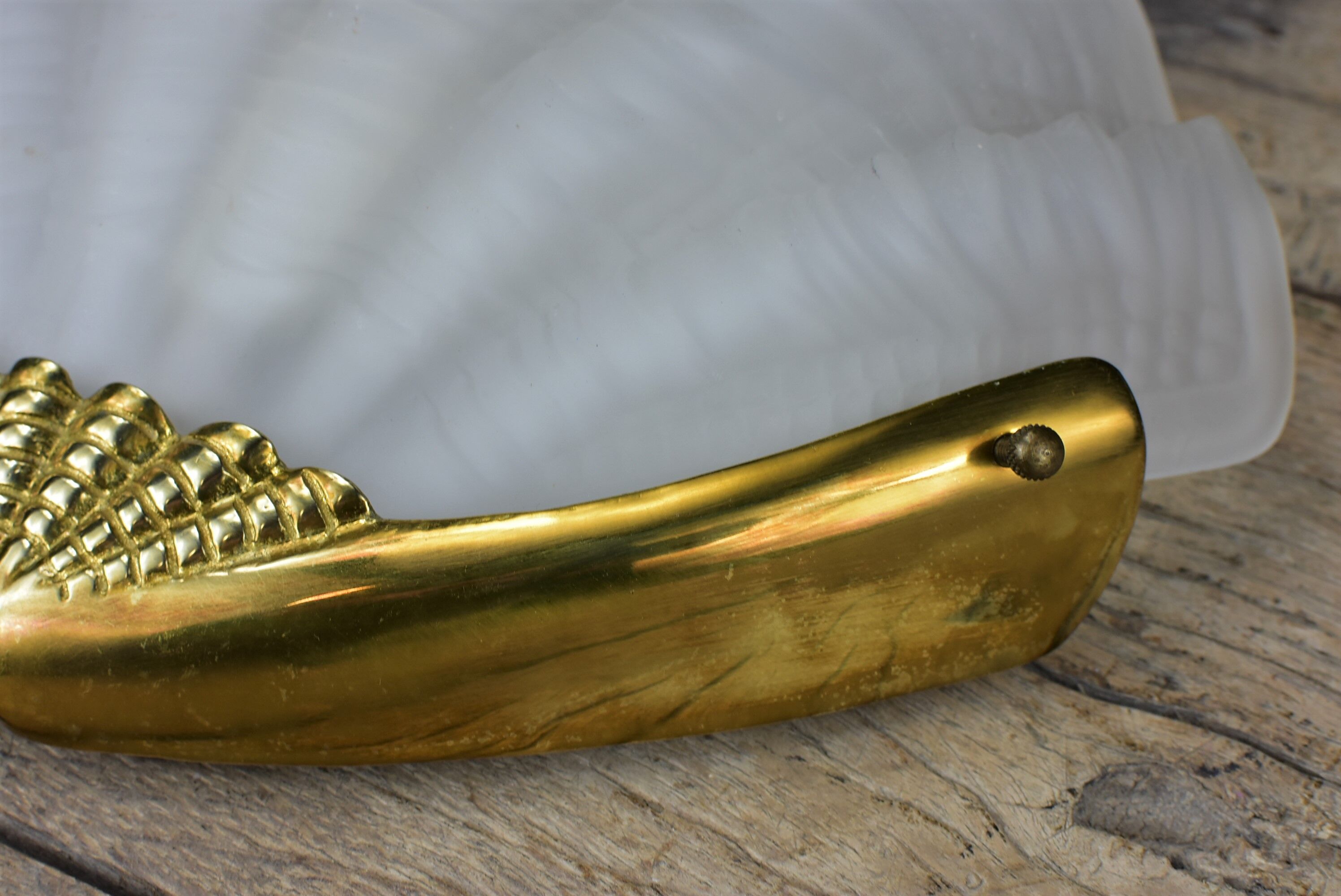 Shell wall lamp, glass and brass.