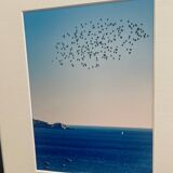 The flight