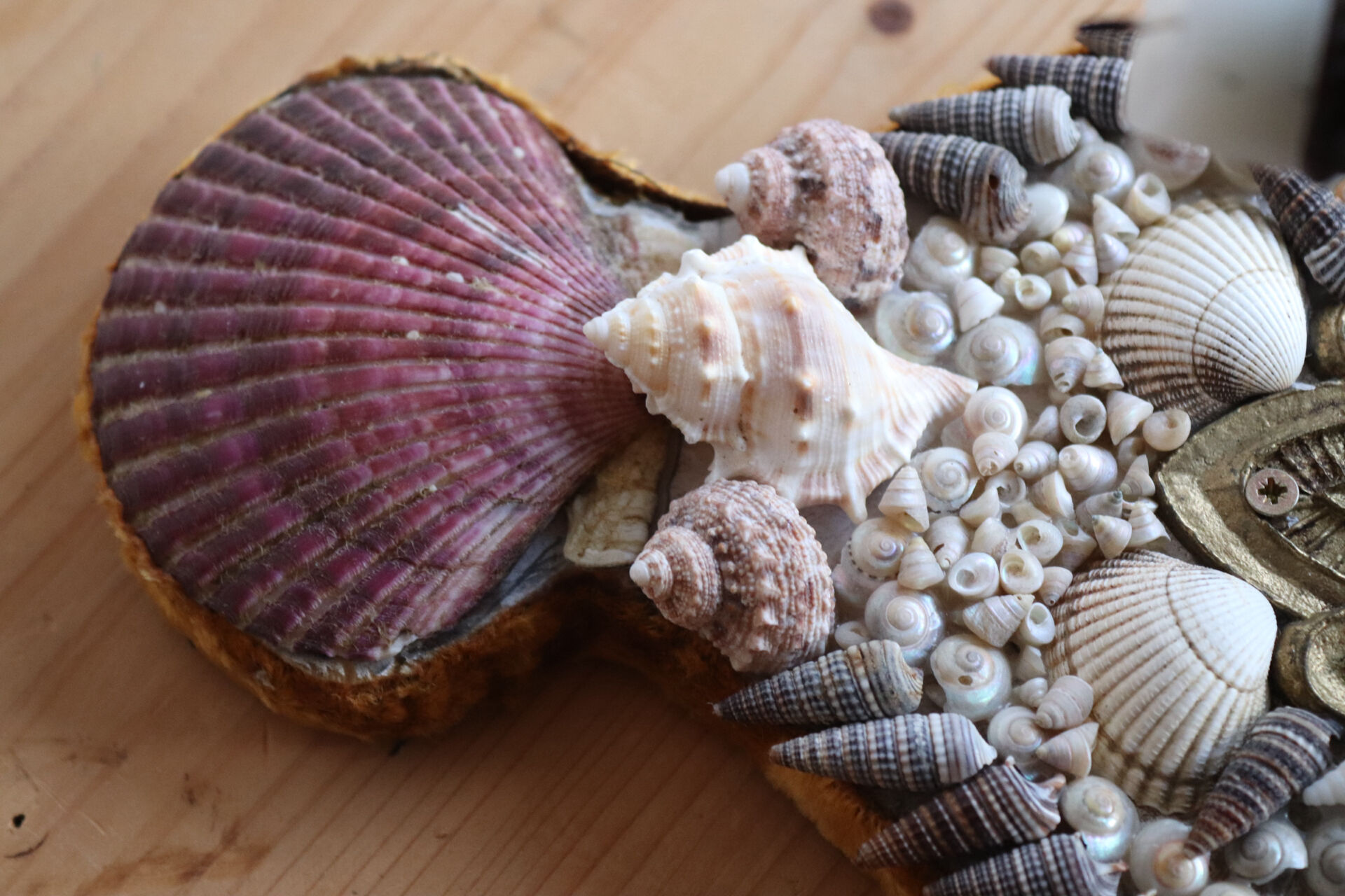 Vintage shell wall candle holder