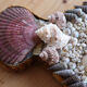 Vintage shell wall candle holder