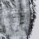 Impression d'art encadrée, "Estampe d'une dorade"