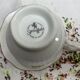 Antique porcelain cup and sub-cup