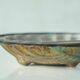 Art Deco Shell Pocket Bowl in Patinated Silver and Satin Glass from the 1930s