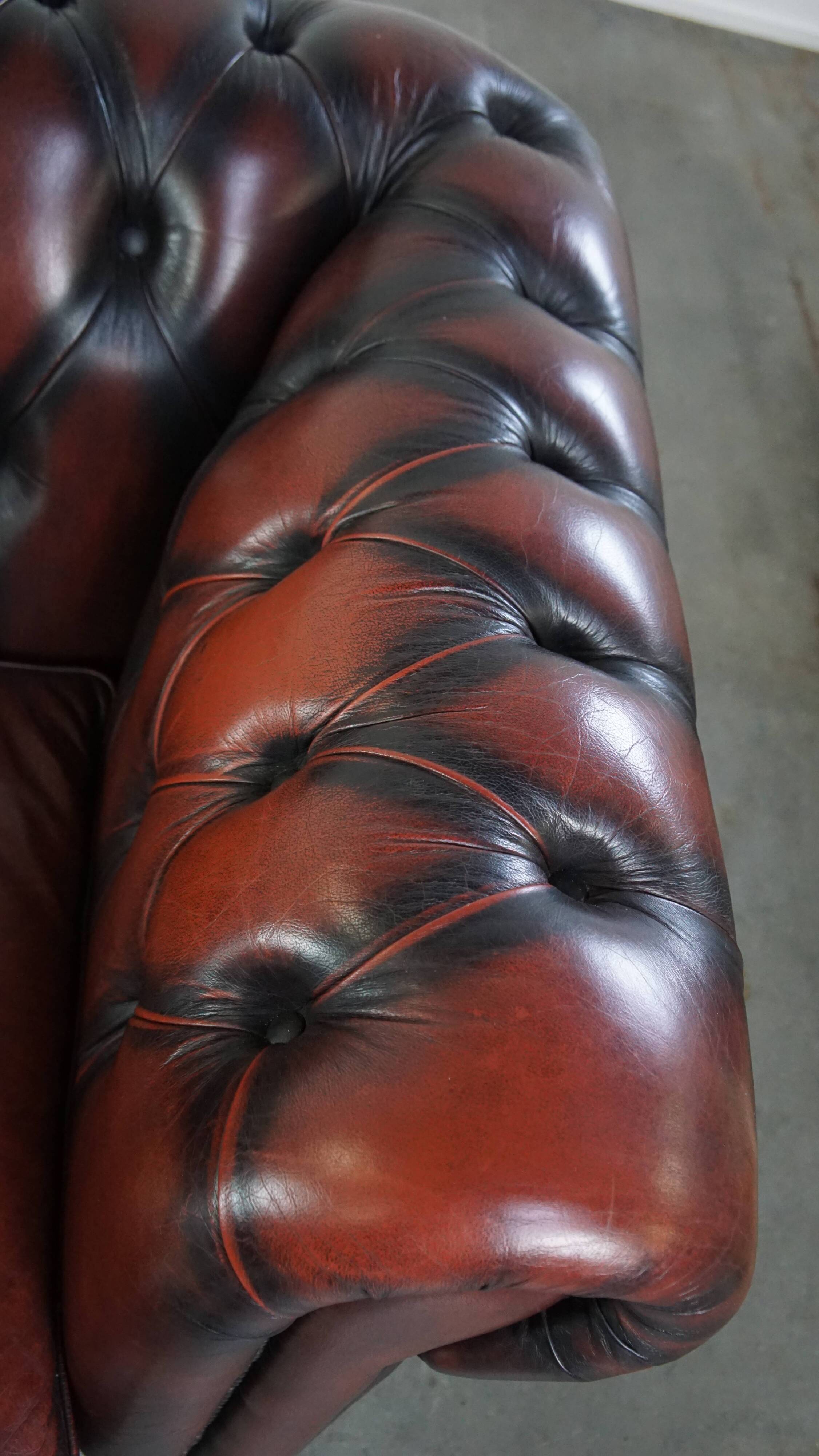 2.5-seater Chesterfield sofa in dark red flamed cowhide leather