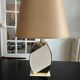 Dolphin house lamp