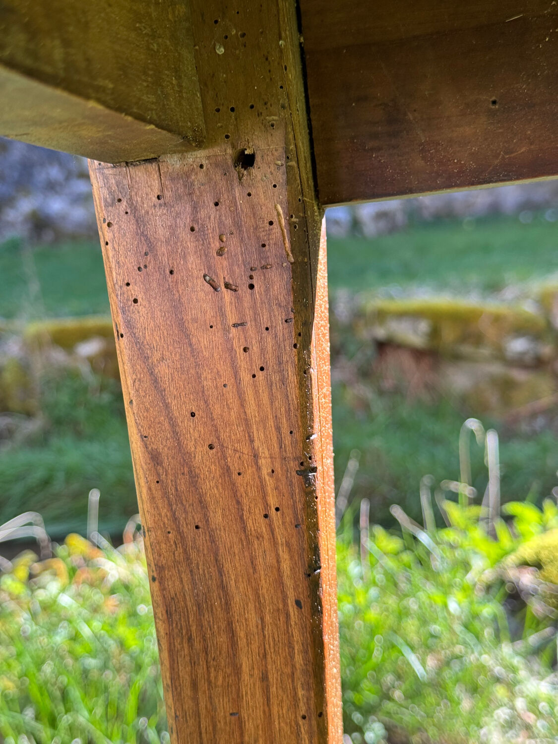 Table de ferme ancienne Auvergne XX siècle