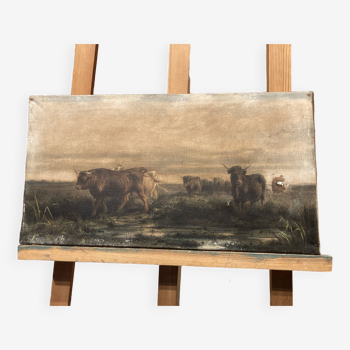 Canvas print depicting bulls in a meadow
