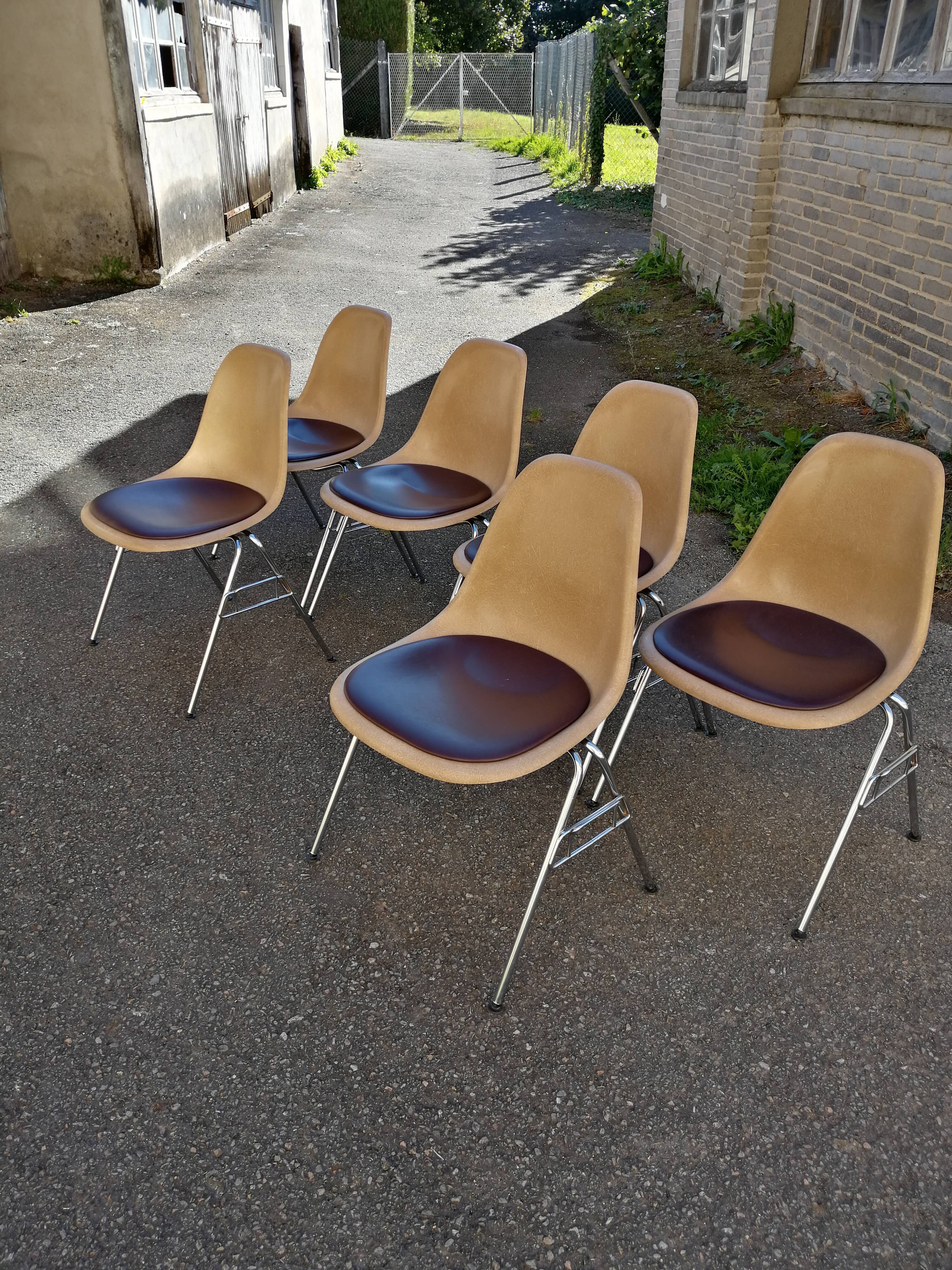 Lot de 6 chaises DSS Charles & Ray Eames pour Herman Miller Edition Vitra