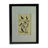 Planche Ornithologique originale " Agami - Magoua - &c... " Buffon 1936