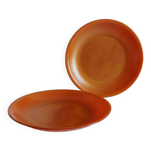 Lot de 2 assiettes à dessert marron opaline