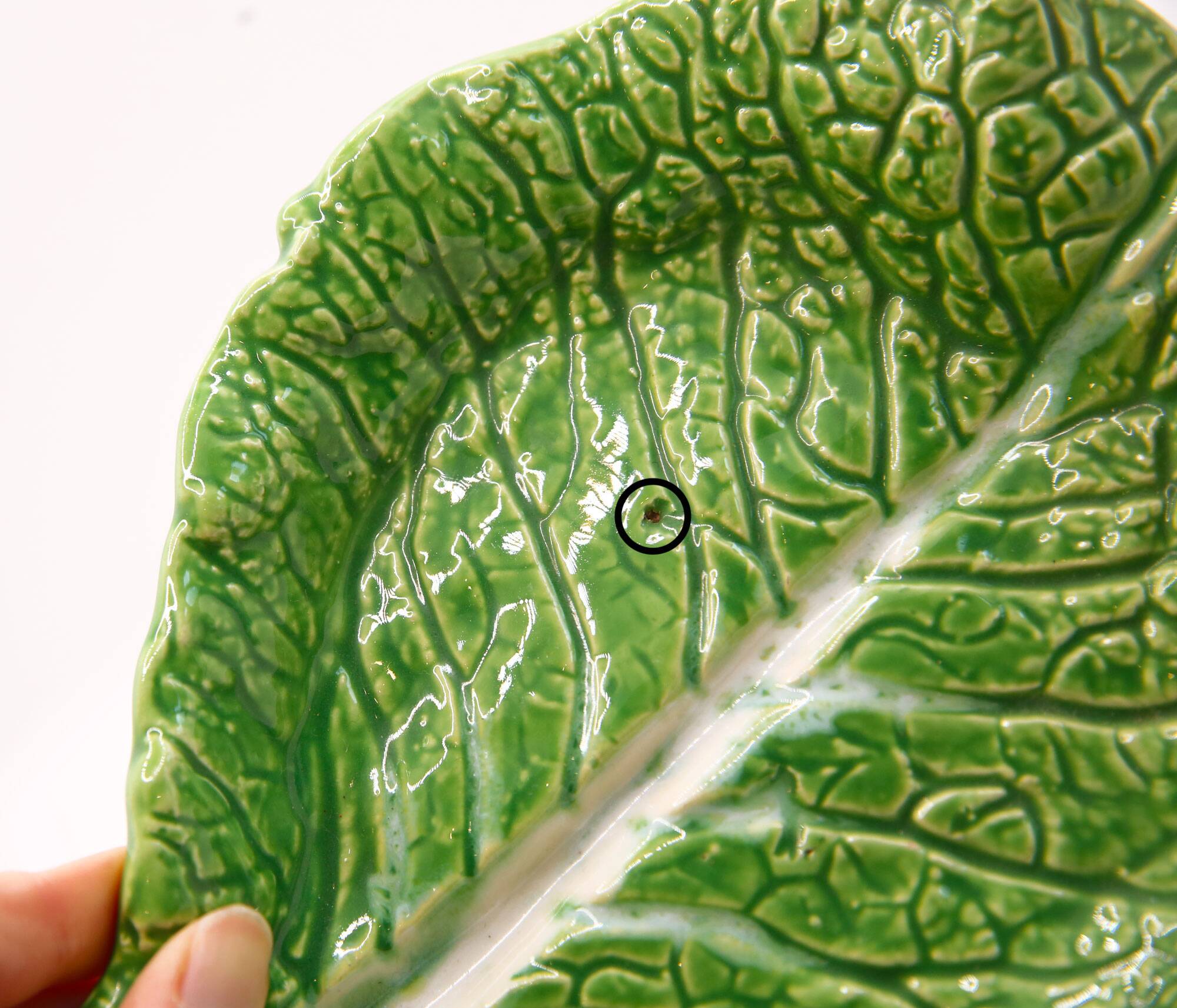 Trompe l'oeil cup bright green cabbage leaf in slip