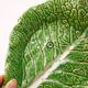 Trompe l'oeil cup bright green cabbage leaf in slip