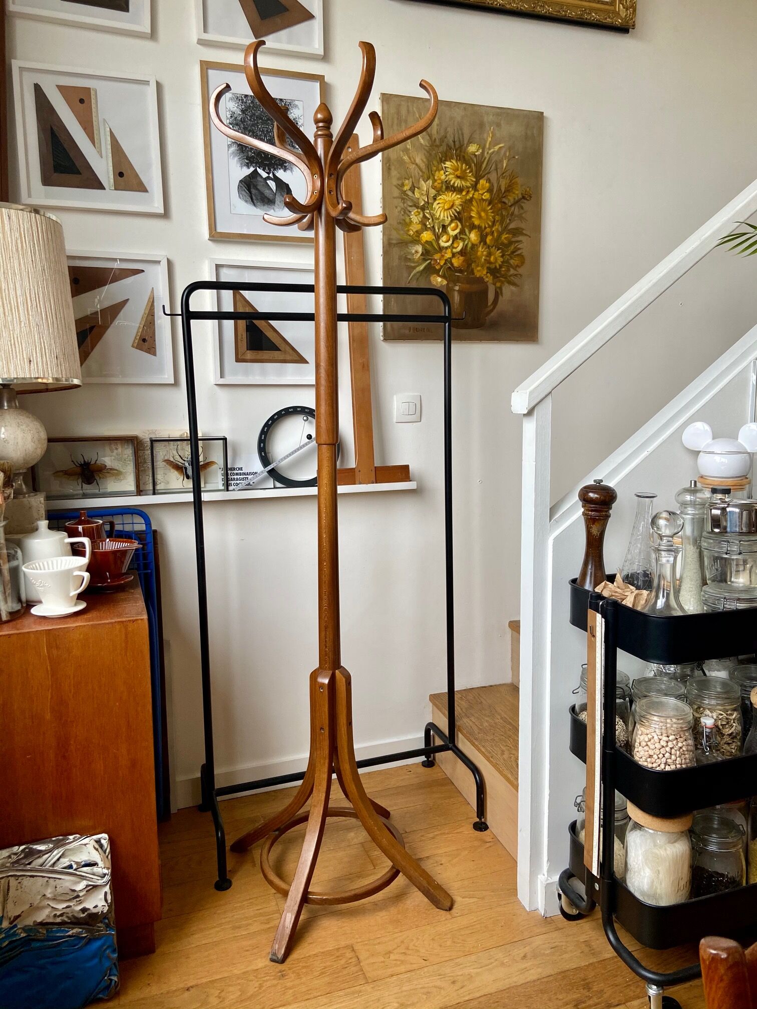 Light wooden parrot coat holder 6 patères