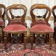 Suite de 8 chaises anglaises en acajou de style Victorien