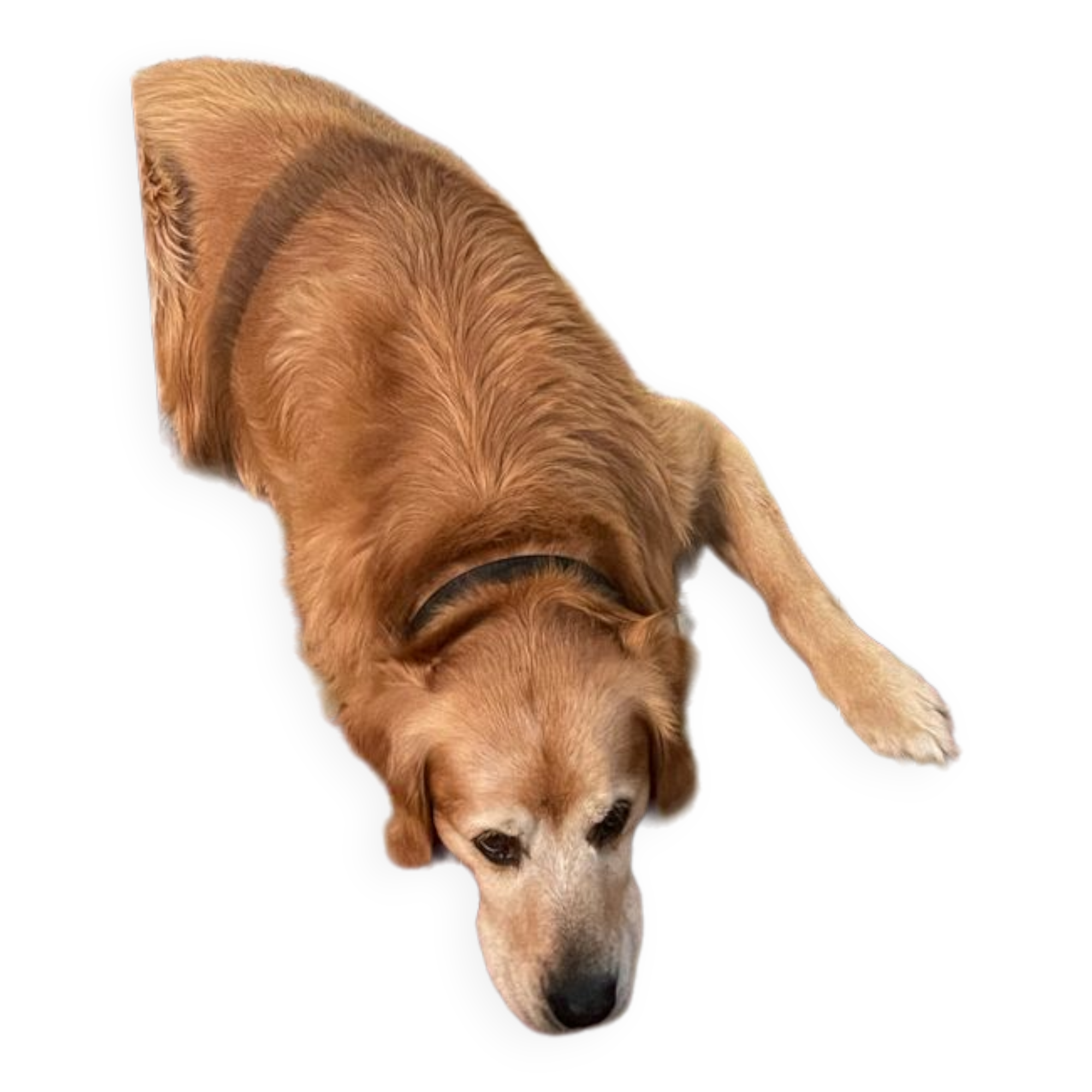 Vintage square portfolio table ep 50/60