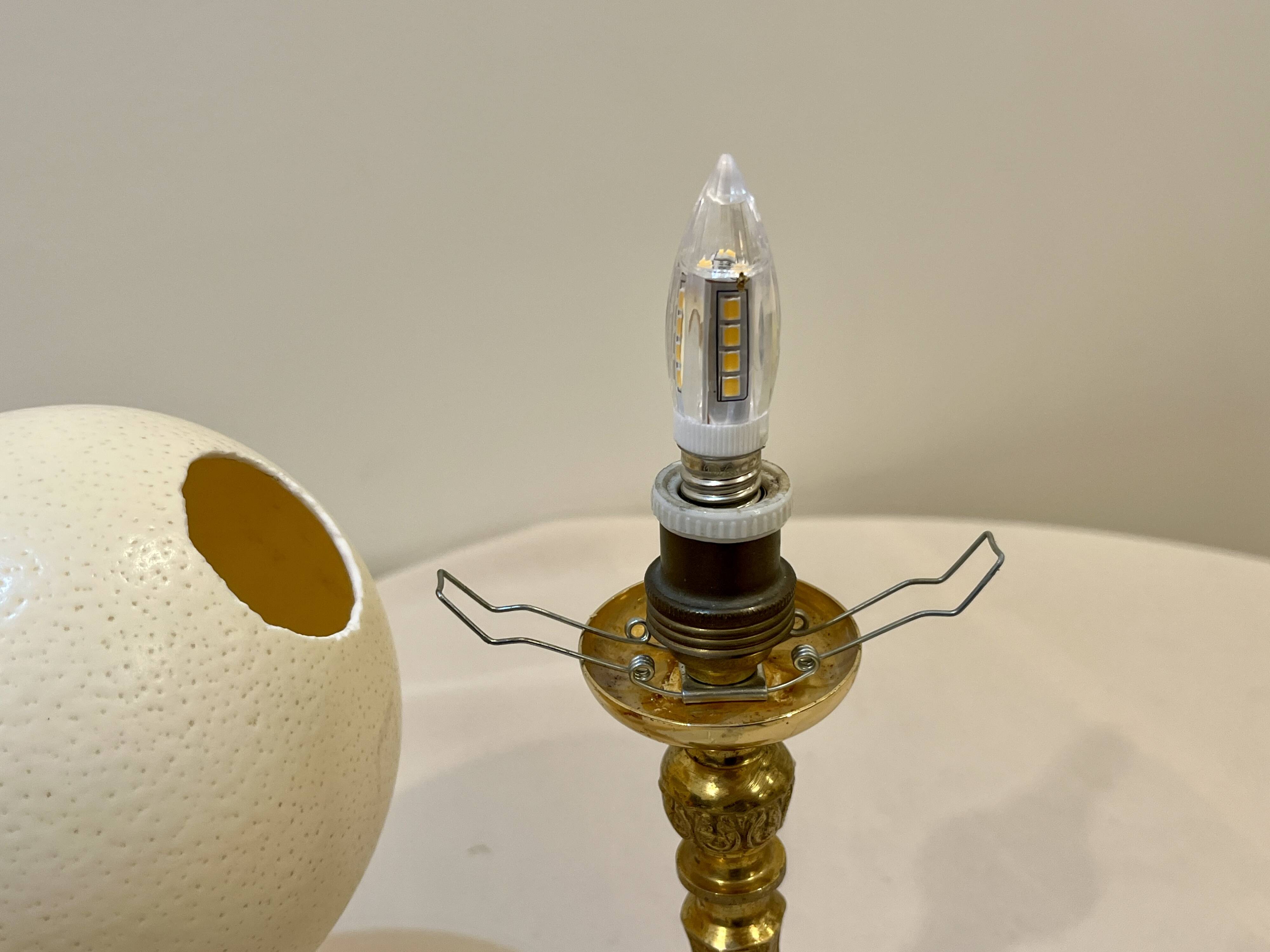 Ostrich egg on bronze stand old cabinet of curiosities lamp