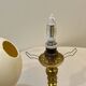 Ostrich egg on bronze stand old cabinet of curiosities lamp