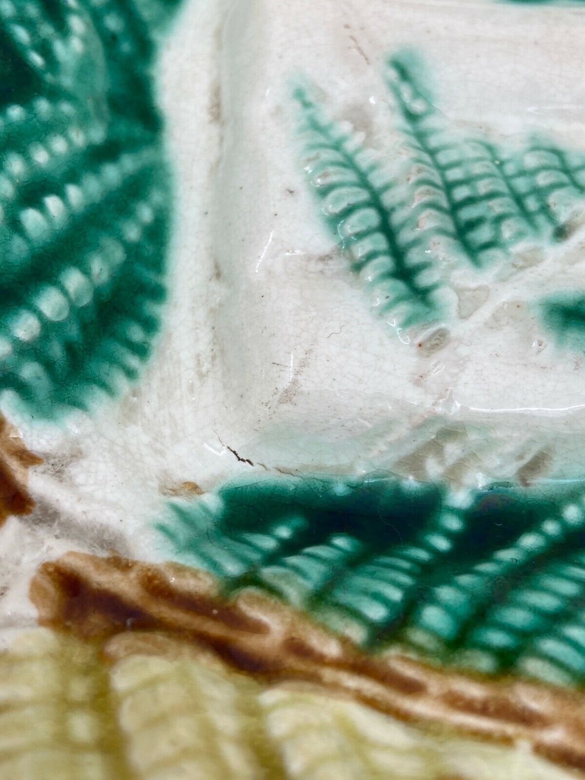 Asparagus dish in slurry longchamp