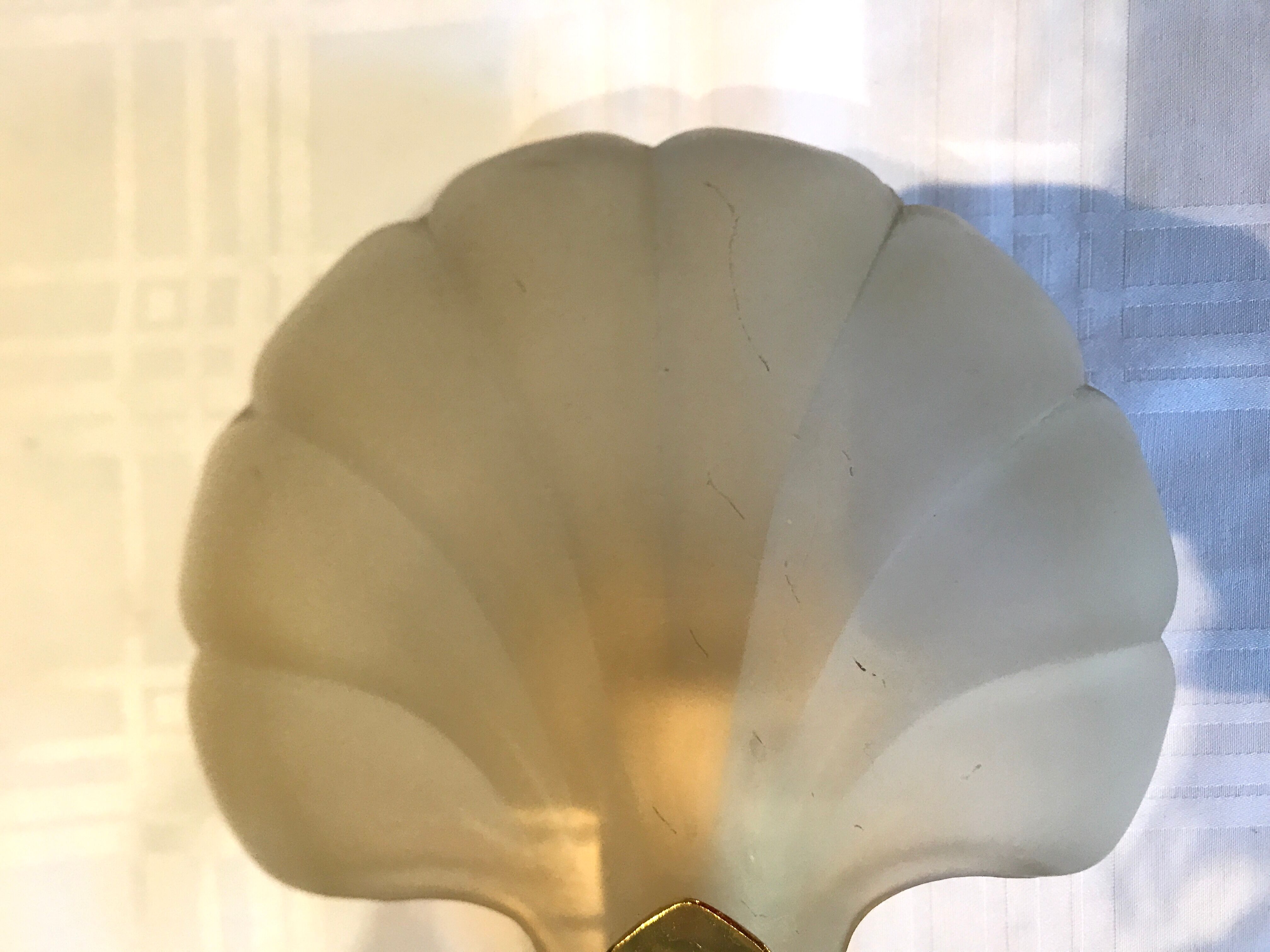 Pair of shell sconces