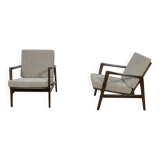 Model 300-139 Armchairs from Swarzędz Factory, Poland, 1960s, Set of 2