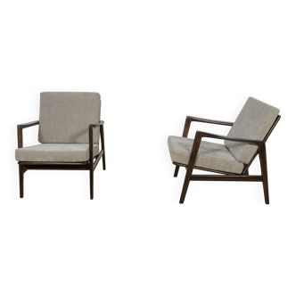 Model 300-139 Armchairs from Swarzędz Factory, Poland, 1960s, Set of 2