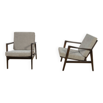 Model 300-139 Armchairs from Swarzędz Factory, Poland, 1960s, Set of 2