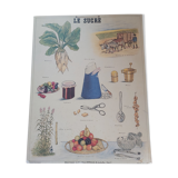 Vintage Deyrolle cardboard school poster